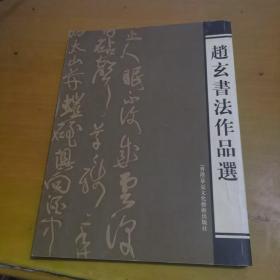 赵玄书法作品选 作者签赠本