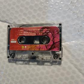 磁带 每个女人 辛晓琪