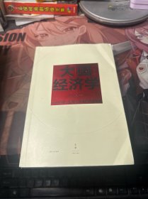 大国经济学：面向长期、全局、多维的中国发展（系统解读中国经济的通识之作，陆铭、杨汝岱等十位一流经济学家协力打造，构建理解当代中国发展的新常识）