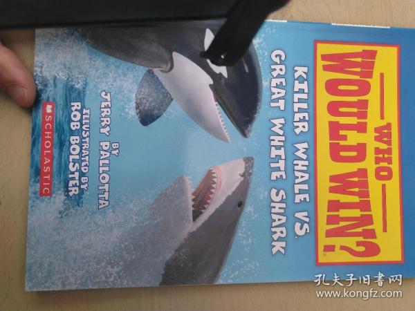 Killer Whale vs. Great White Shark (Who Would Win?)谁会赢系列:杀人鲸和大白鲨比拼