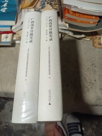 广西改革开放实录（第六卷上下册）