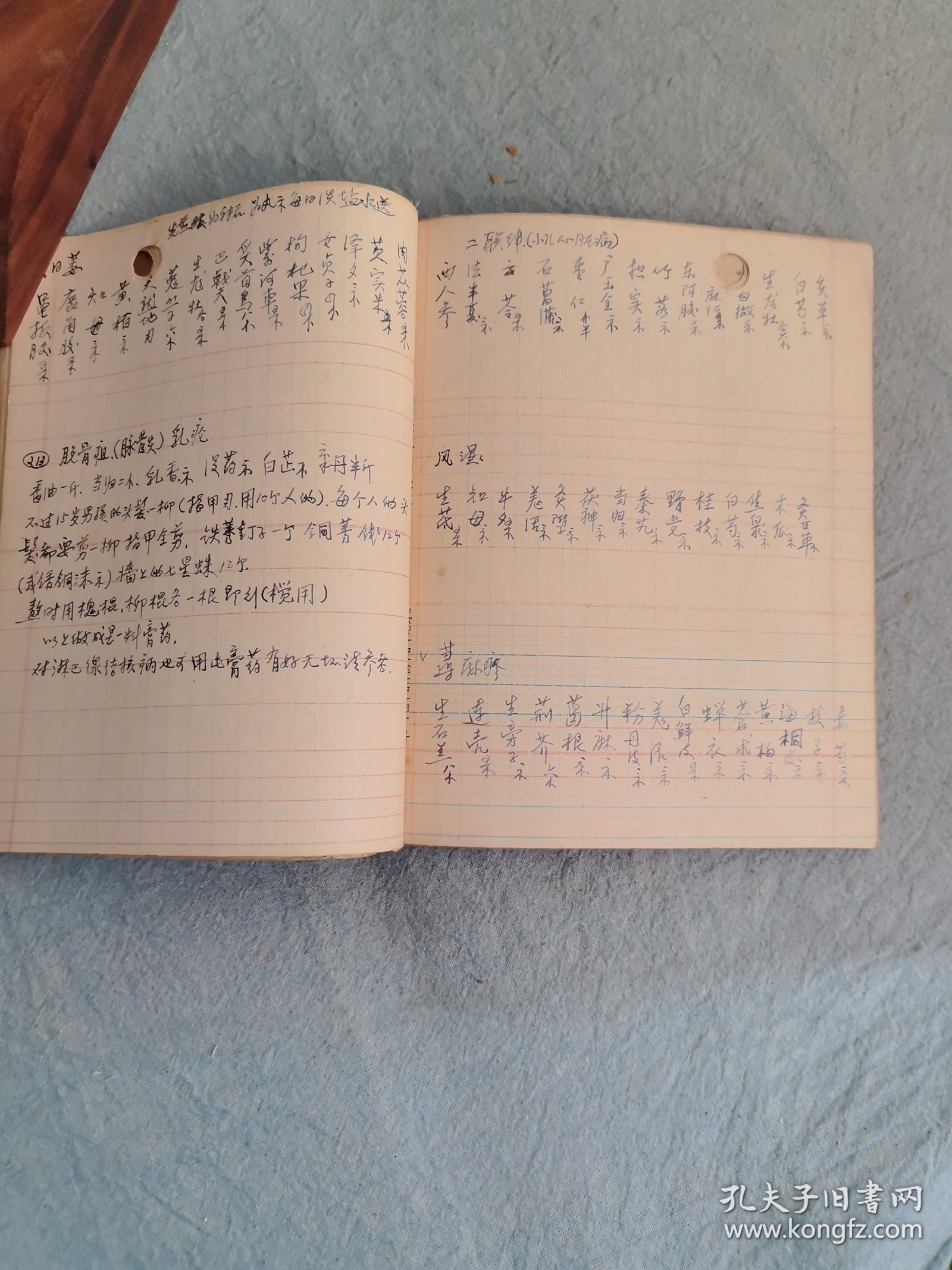 手抄本（中医药方汇总）