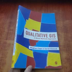 QUALITATIVE GIS