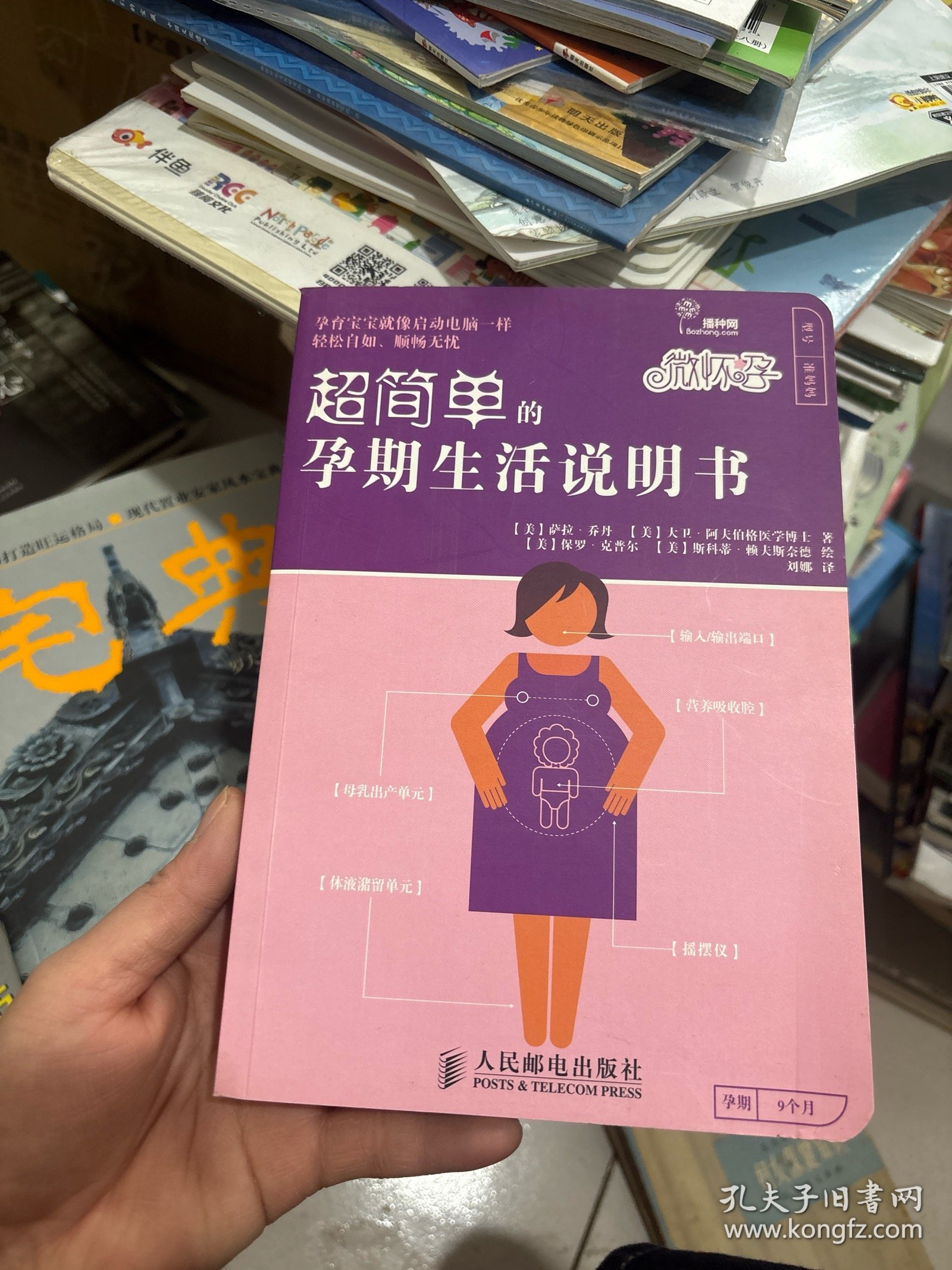 微怀孕：超简单的孕期生活说明书