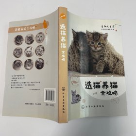 选猫养猫全攻略