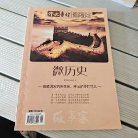 微历史