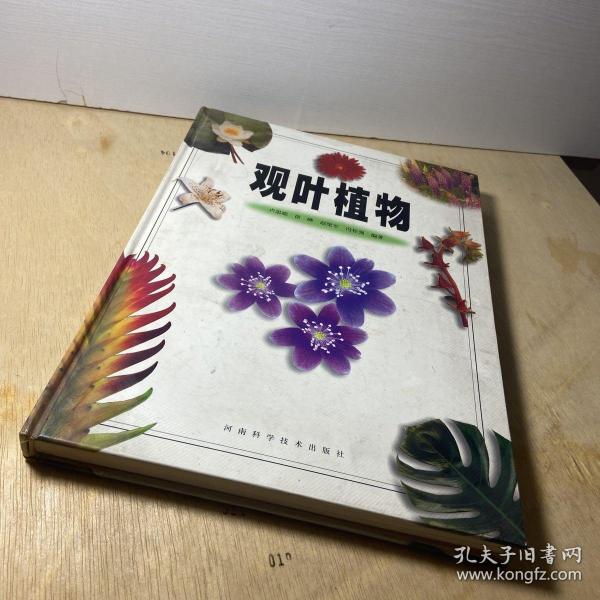 观叶植物（彩图版）