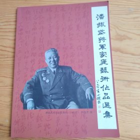 潘振武将军家庭艺术作品选集，2024年，2月29号上，