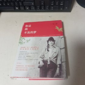 你是我不及的梦