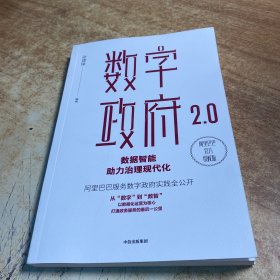 数字政府2.0：数据智能助力治理现代化