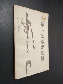 第三次数学危机
