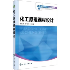 【库存书 】化学原理课程设计