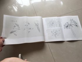 荣宝斋画谱（47）花鸟部分（于非闇绘2000年6月5印，有毛病详见图片和介绍）