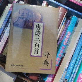 唐诗三百首辞典