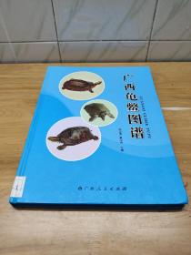 广西龟鳖图谱
