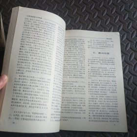 星火燎原1983特刊