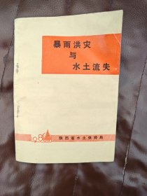 暴雨洪灾与水土流失
