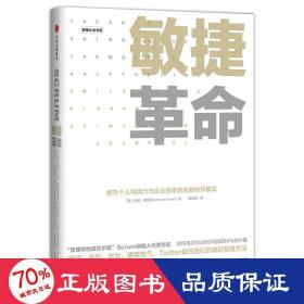 敏捷革命:提升个人创造力与企业效率的全新协作模式