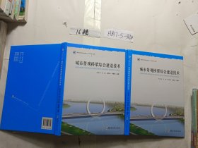 城市景观桥梁综合建造技术