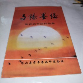 夕阳墨缘陈存忠书法作品集