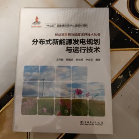 新能源并网与调度运行技术丛书 分布式新能源发电规划与运行技术