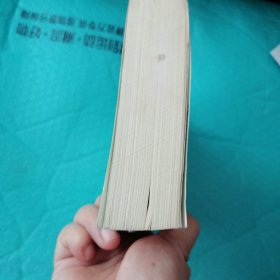 张学良暨东北军新论