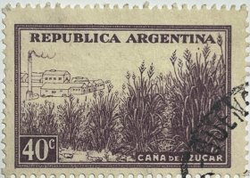 阿根廷 1935-51年 甘蔗 40分（随机发）