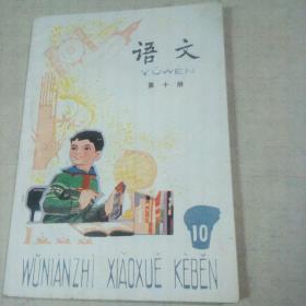 5年制小学课本语文第十册      非塑光皮