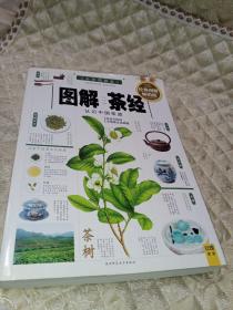 图解茶经 认识中国茶道