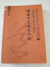现象学思潮在中国