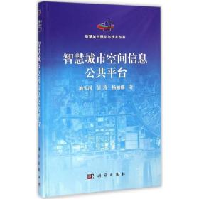 智慧城市空间信息公共台 人工智能 池天河,彭玲,杨丽娜 著 新华正版
