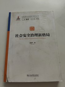 社会安全治理新格局/公共安全治理新格局丛书