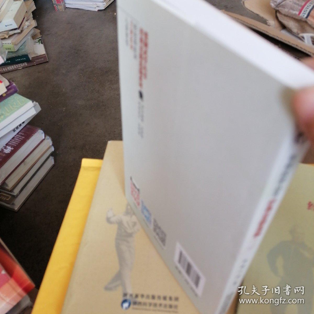 R66：张桐武学丛书—经典套路选编（一）—五形拳标准动作及古谱，十二行大合练，鹞形八式，安身炮）；（二）六合刀，武当剑，五行刀，对劈刀，（三）龙形八卦掌—老八掌，龙形八卦掌—连环掌，武当八卦剑，十六把，三书合售