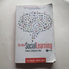 The New Social Learning