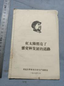 掖县革命委员会生产指挥部红太阳亮了杂交种发展的道路