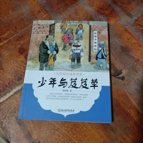 大作家小故事书系：少年与芨芨草.