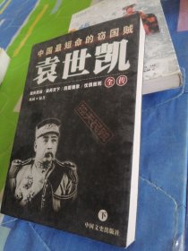 袁世凯全传  上下