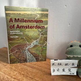 A Millennium of Amsterdam 
Spatial History of a Marvellous City