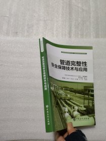 管道完整性安全保障技术与应用管道完整性管理技术丛书