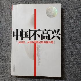 中国不高兴：大时代大目标及我们的内忧外患