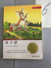 国际大奖小说（升级版）：兔子坡（有潮痕）.