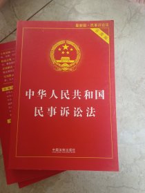 中华人民共和国民事诉讼法（实用版）