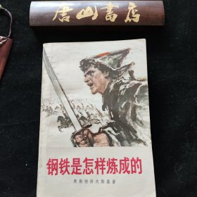 钢铁是怎样炼成的