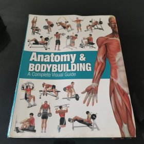 Anatomy & Bodybuilding: A Complete Visual Guide