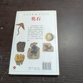 化石：全世界500多种化石的彩色图鉴