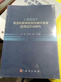 工程扰动下富含瓦斯煤岩损伤破坏规律及测试方法研究