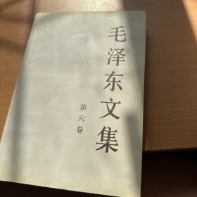 毛泽东文集 第六卷