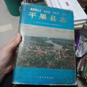 平果县志
