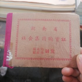 湖南省社会集团购货证