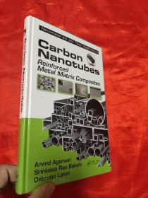 Carbon Nanotubes: Reinforced Metal Matrix   （小16开，硬精装） 【详见图】